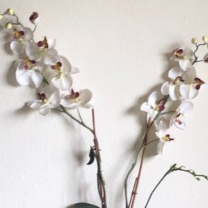 Meet your Posher, Kana